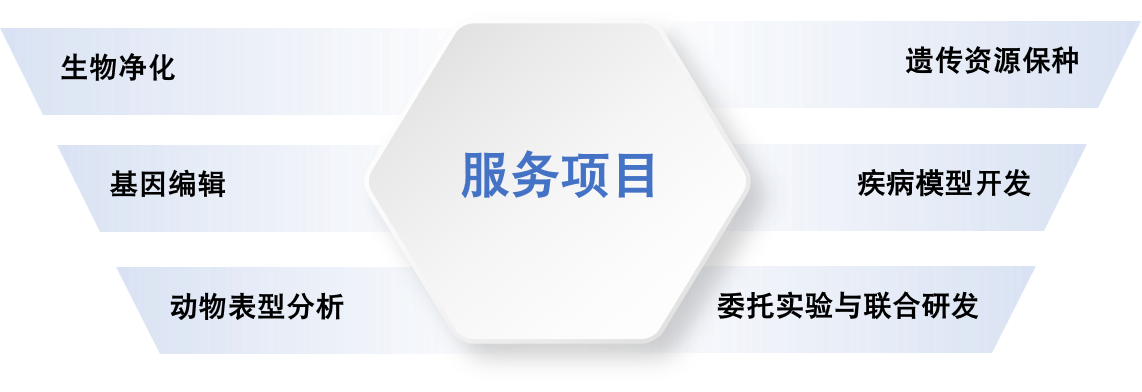 37416085_1749780588.png