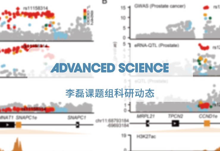 Advanced Science | 李磊课题组建立增强子RNA关联分析方法鉴定eRNA关联的癌症风险基因
